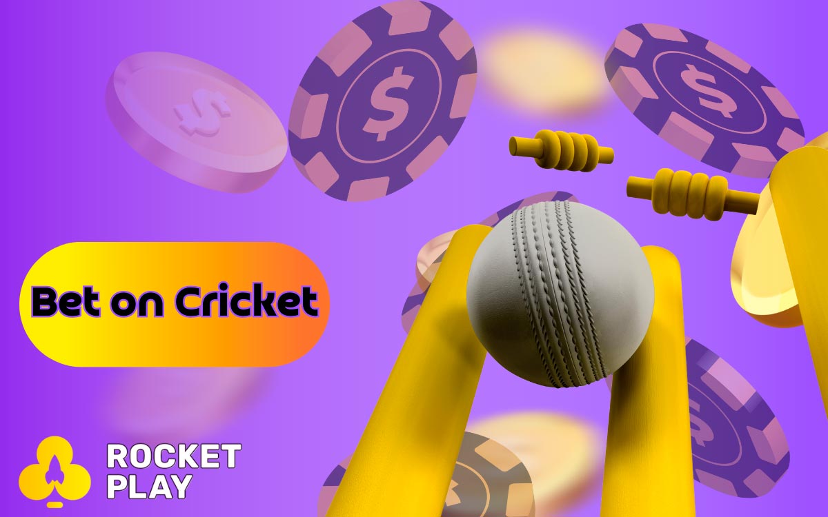 Any user who is authorized can place bets on cricket